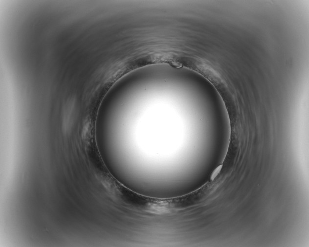 X0000085300079200703161441