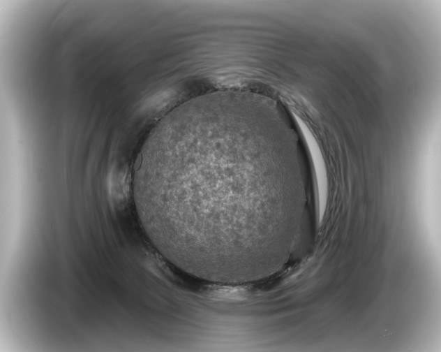 X0000085300081200703161441