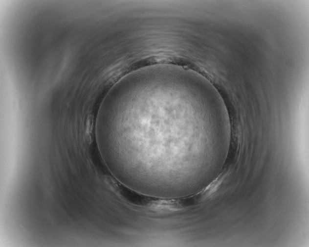 X0000085300082200703161441