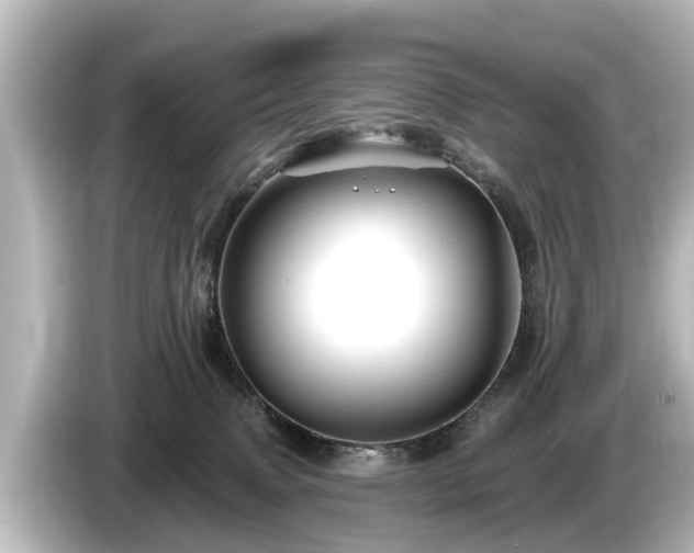 X0000085300083200703161441