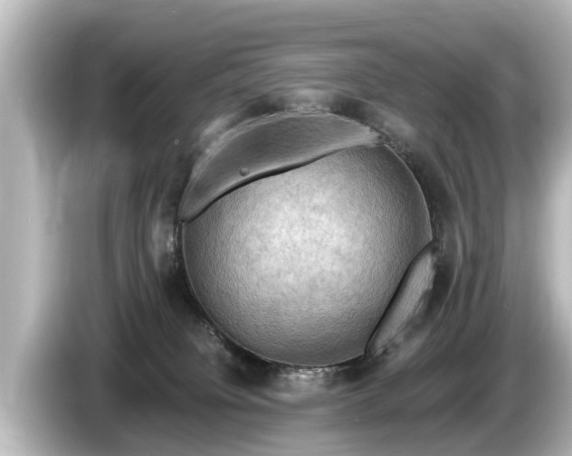 X0000085300084200703161441