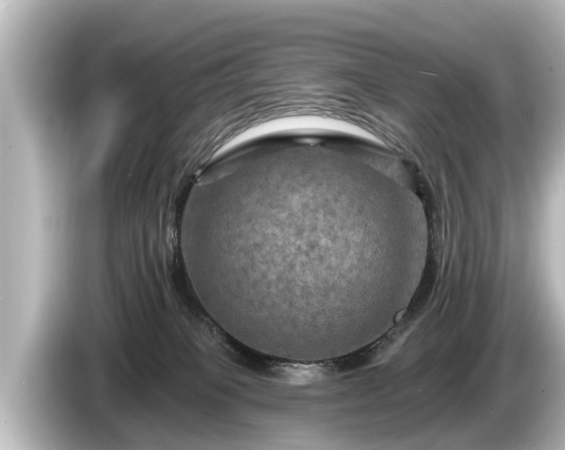 X0000085300085200703161441