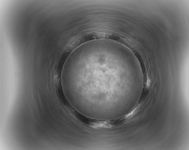 X0000085300086200703161441