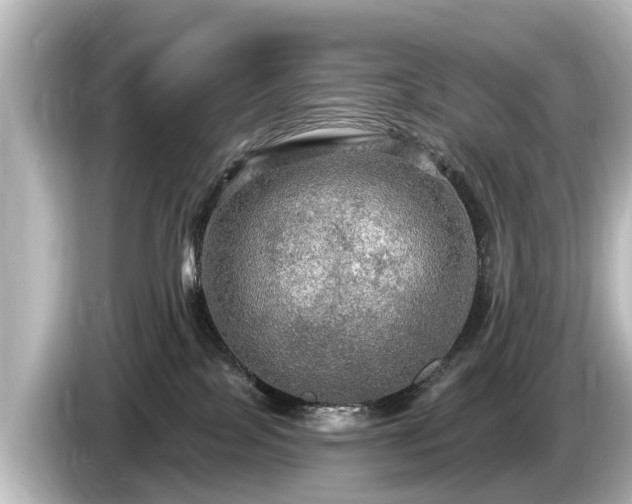 X0000085300089200703161442