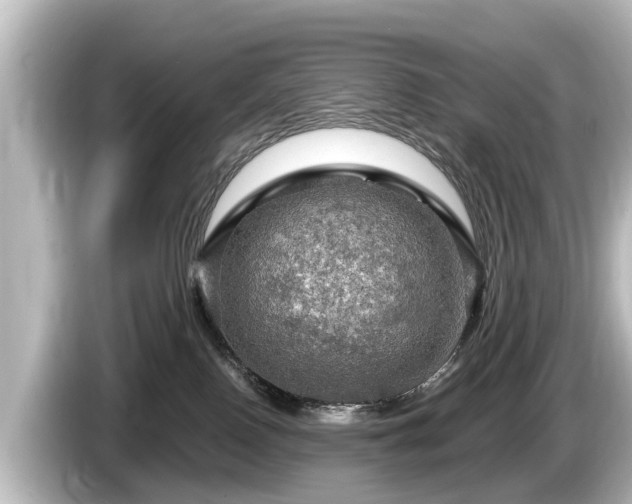 X0000085300090200703161442