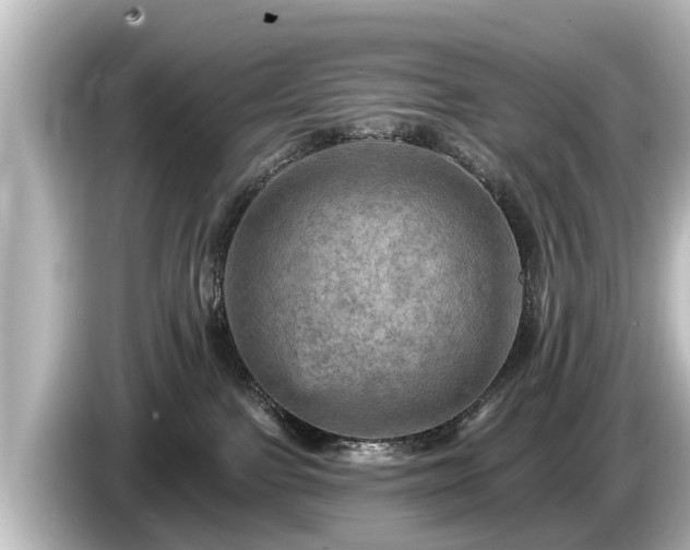 X0000085300091200703161442