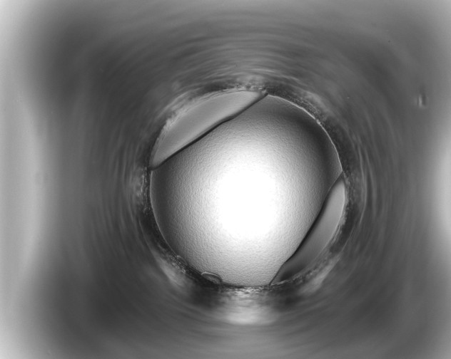 X0000085300092200703161442