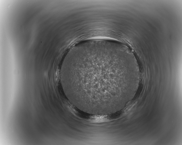 X0000085300093200703161442