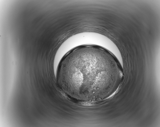 X0000085300094200703161442