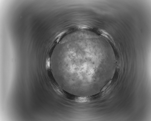 X0000085300095200703161442