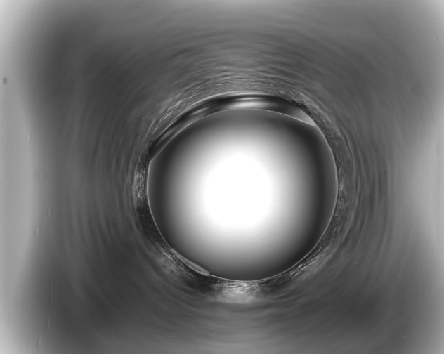 X0000085300096200703161442