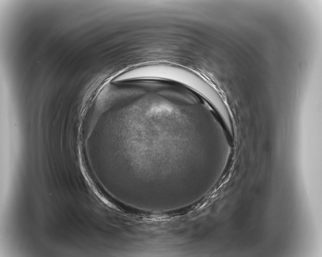 X0000085300097200703161441