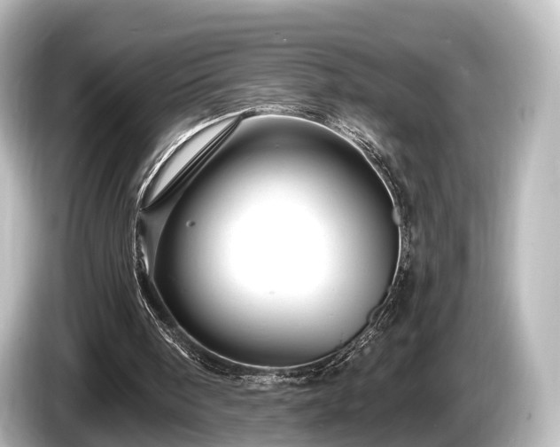 X0000085300098200703161441