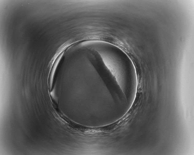 X0000085300099200703161441