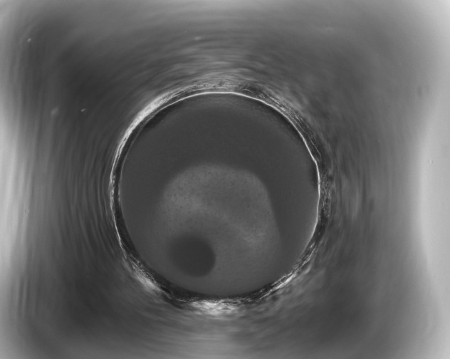 X0000085300100200703161441