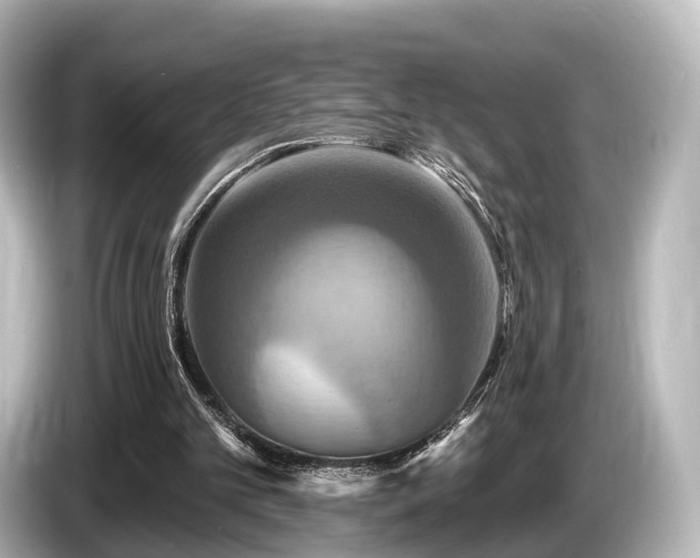 X0000085300101200703161441