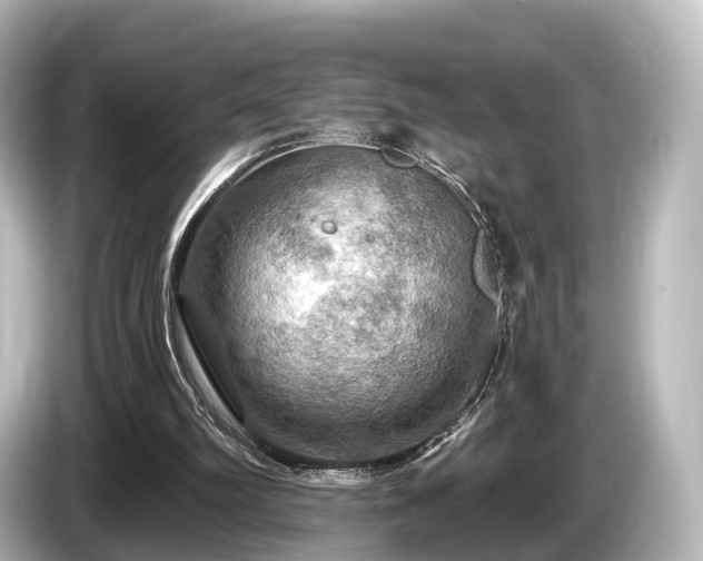 X0000085300102200703161441