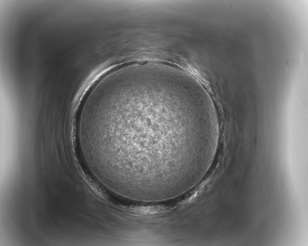 X0000085300103200703161441