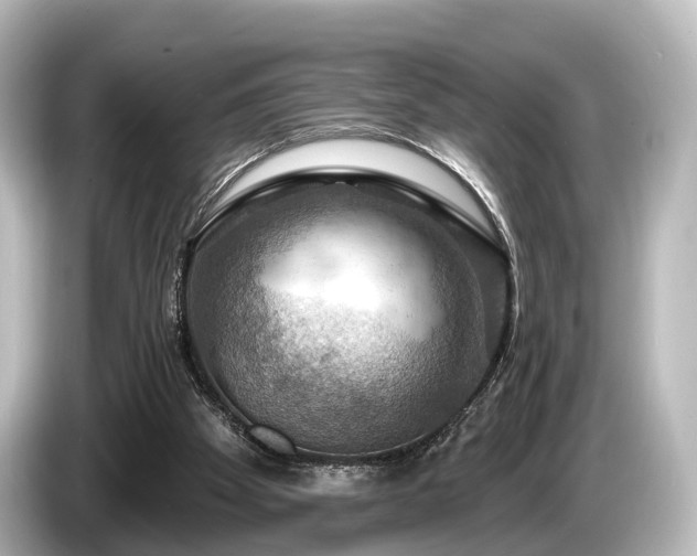 X0000085300105200703161441