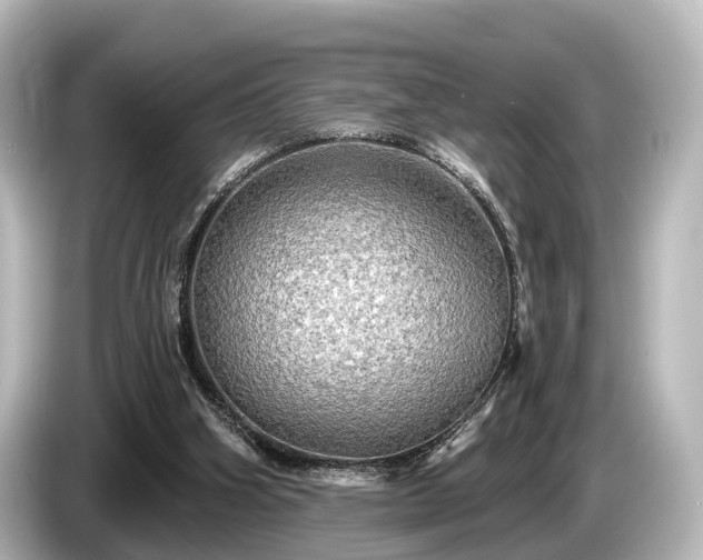 X0000085300106200703161441