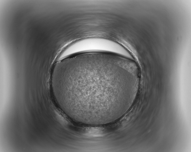 X0000085300107200703161441