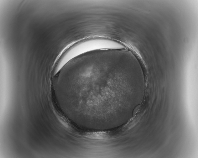 X0000085300108200703161441