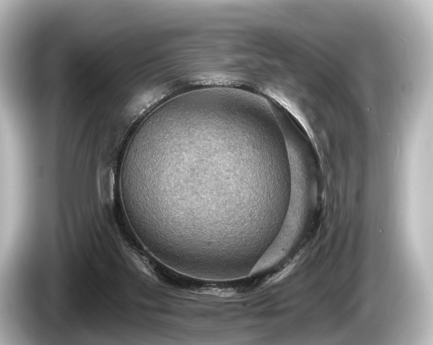 X0000085300109200703161441