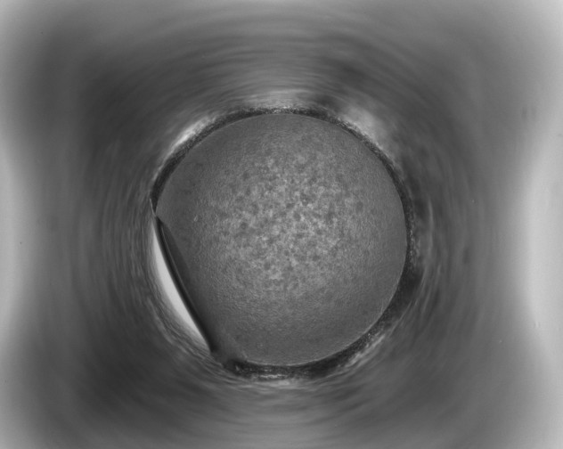 X0000085300111200703161441