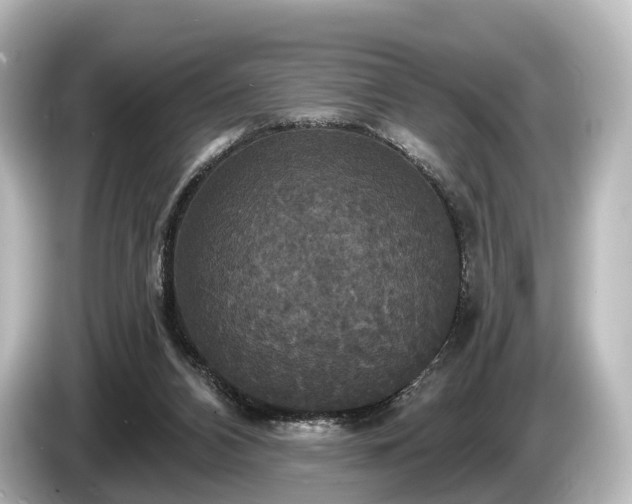 X0000085300112200703161441