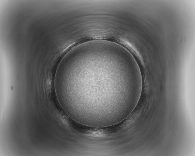 X0000085300113200703161441