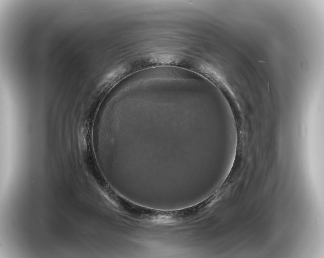 X0000085300114200703161441