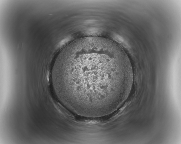 X0000085300115200703161441