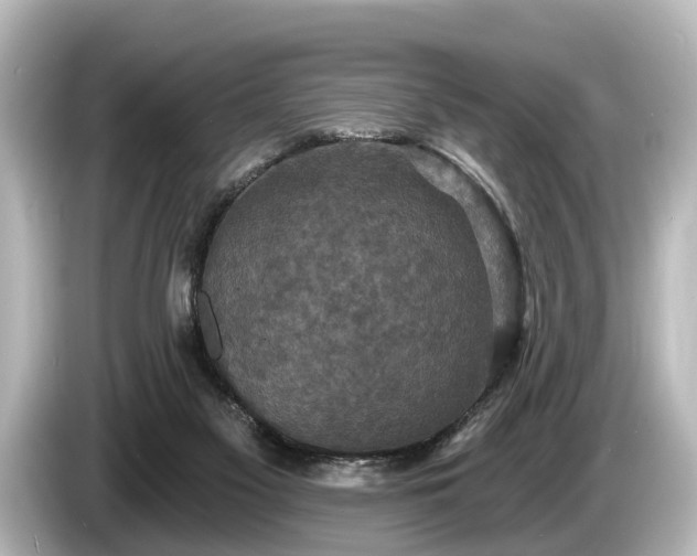 X0000085300117200703161441