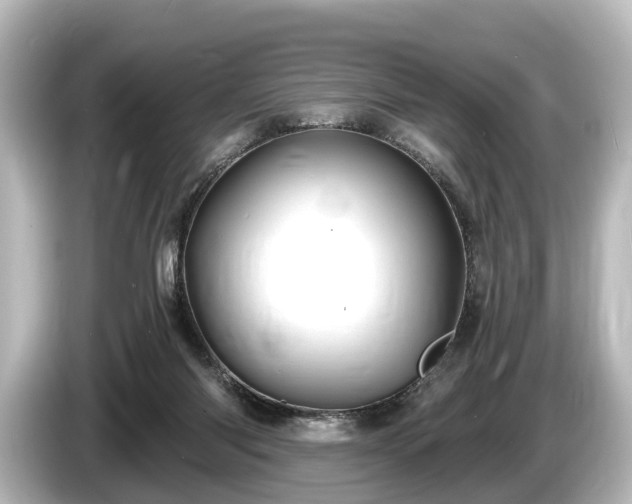 X0000085300118200703161441