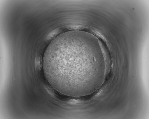 X0000085300119200703161441