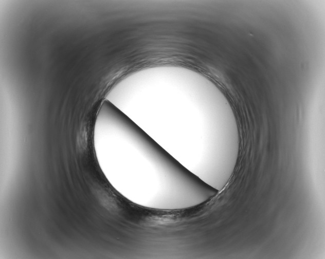 X0000085300120200703161441