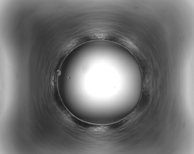 X0000085300122200703161441