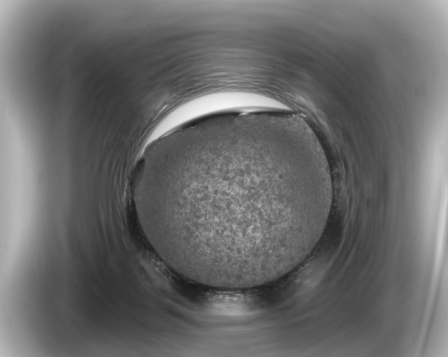 X0000085300123200703161441