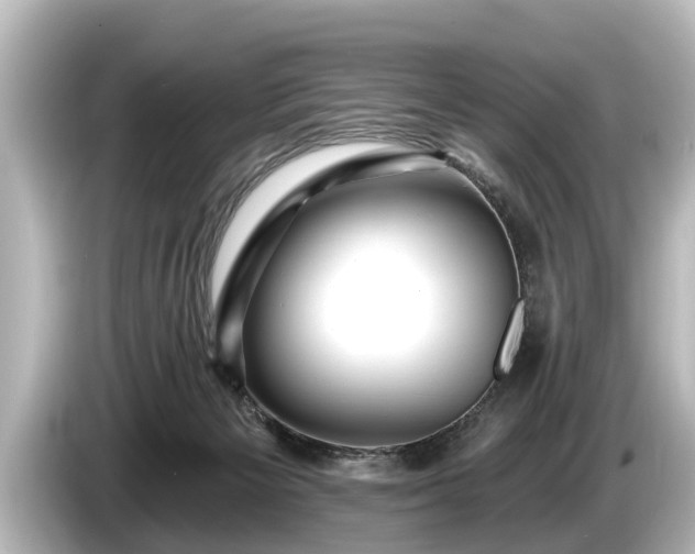 X0000085300125200703161441