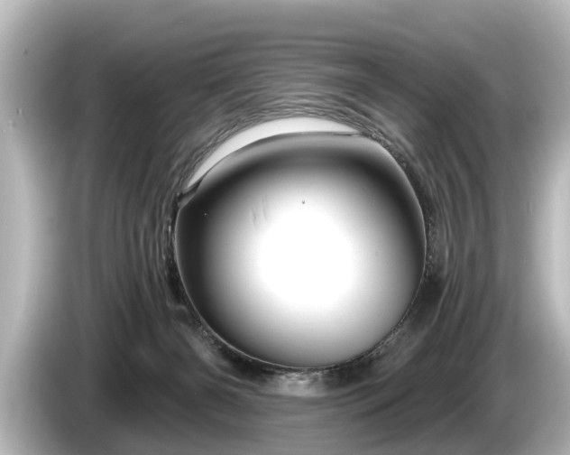 X0000085300126200703161441