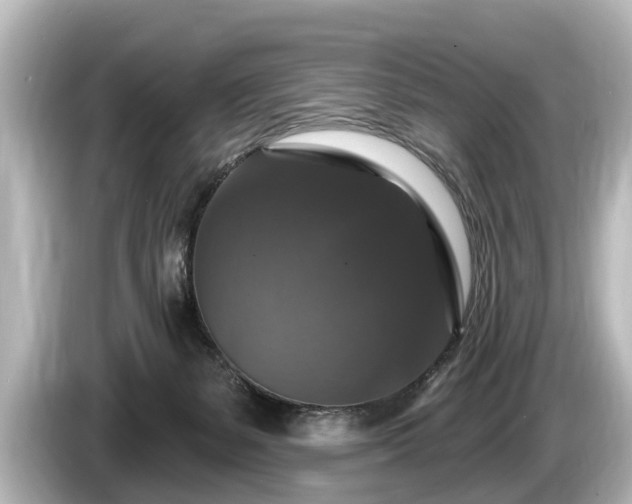 X0000085300127200703161441