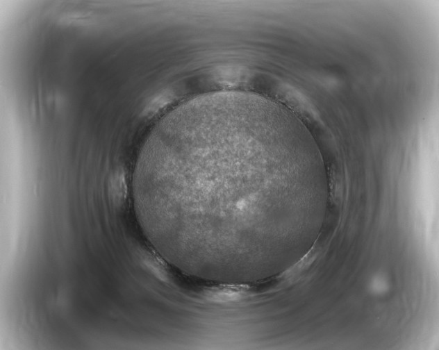 X0000085300128200703161441