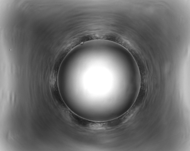 X0000085300129200703161441