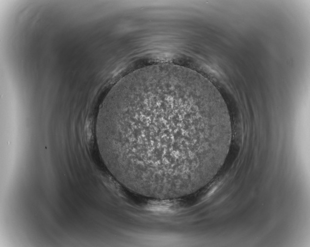 X0000085300131200703161441