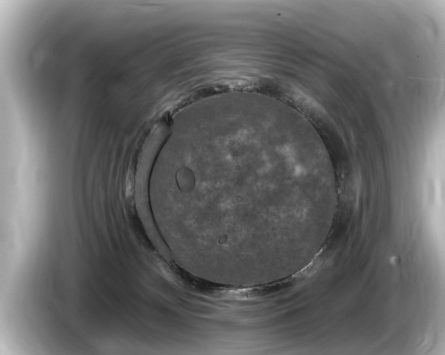 X0000085300132200703161441