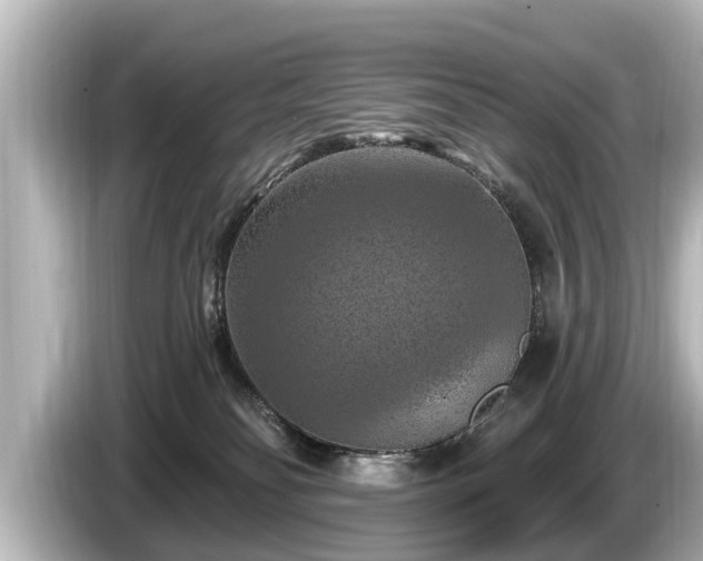 X0000085300134200703161440