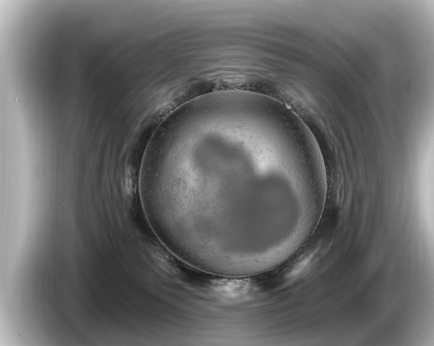 X0000085300135200703161440