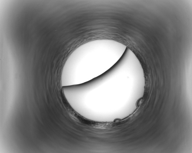 X0000085300136200703161440