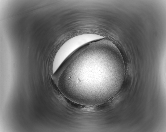 X0000085300138200703161440