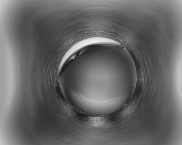 X0000085300139200703161440